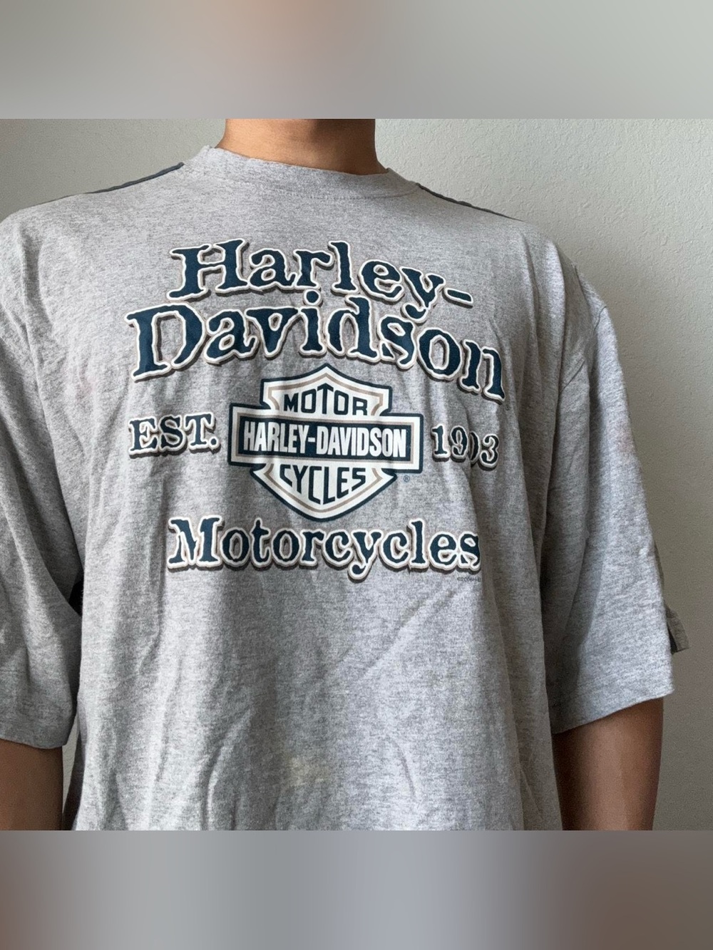 Vintage 2006 Harley Davidson Motorcycles Graphics Grey Oversized Shirt Y2K